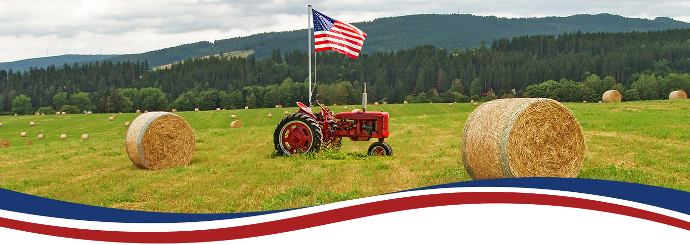 Banner - USA_250 anniversary campeign Banner - USA_250 anniversary campeign