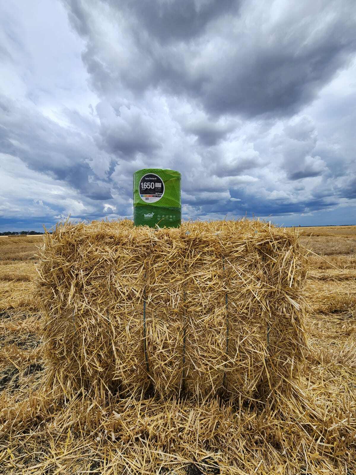 6f782ba8-f835-4178-b570-d728e9883936